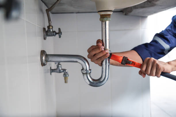 Best Clogged Drain Plumber  in Crewe, VA